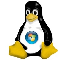 Il·lustració per a l'article titulat Els missatges més populars de Linux del 2008